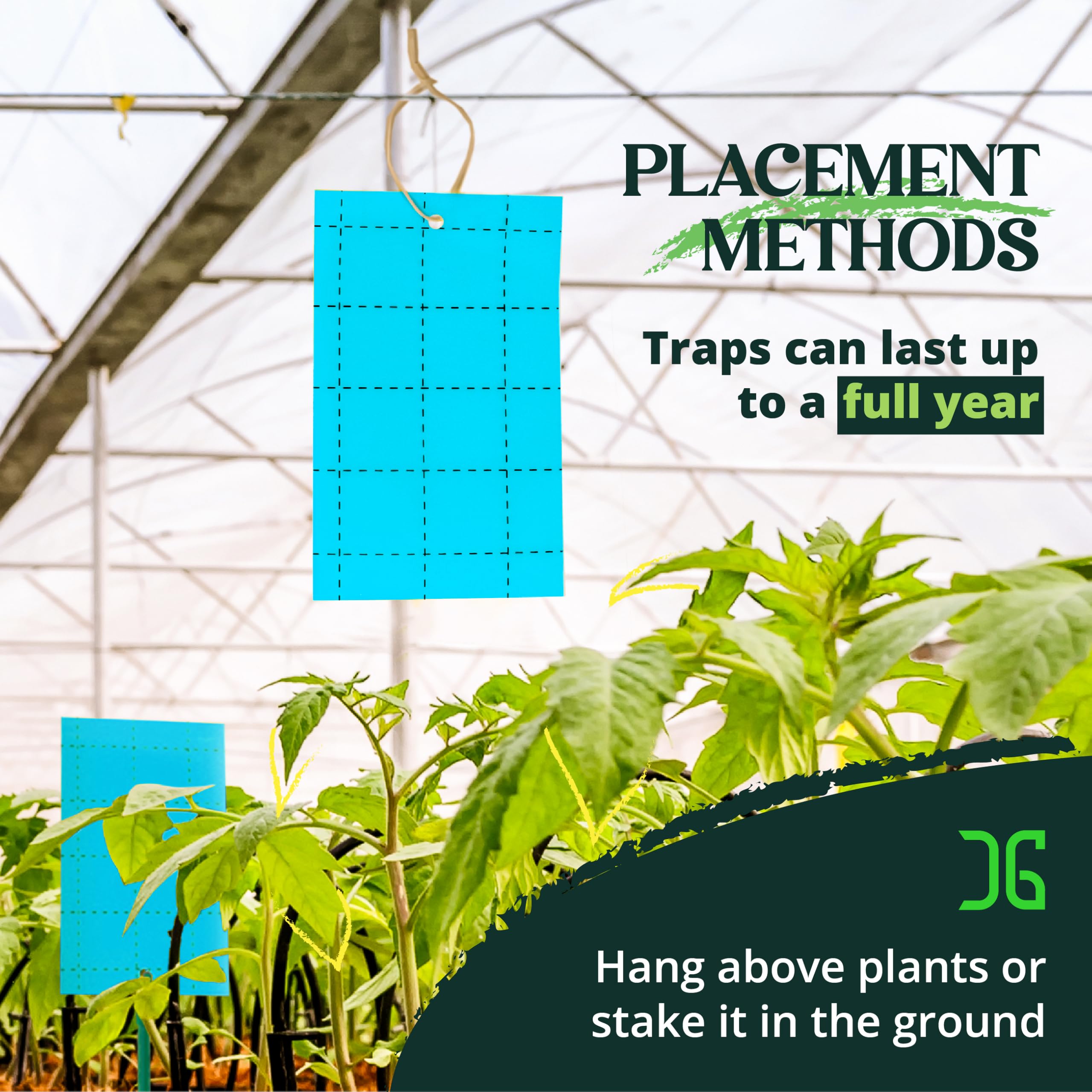 Catchmaster- Trampa adhesiva azul GRO, paquete de 72, trampa para insectos para exteriores, protege plantas vivas en interiores, trampa para insectos, tripes y moscas de la fruta, trampas adhesivas pa