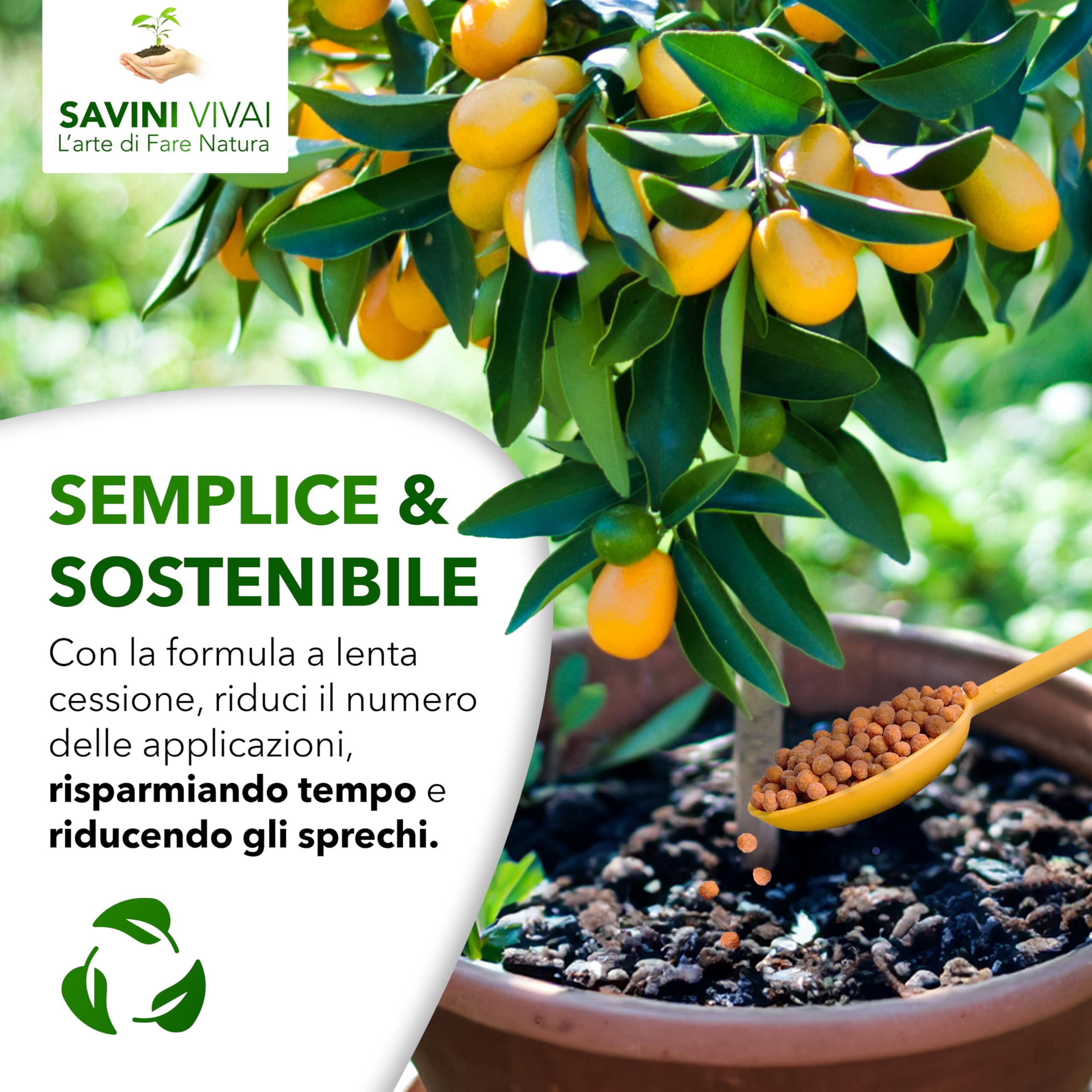 SAVINI VIVAI Engrais agrumes Super Cote, engrais pour toutes plantes à production abondante, comme les citrons, mandarines, oranges en pot et entièrement moulues SUPER COTE AGRUMI 500 GR