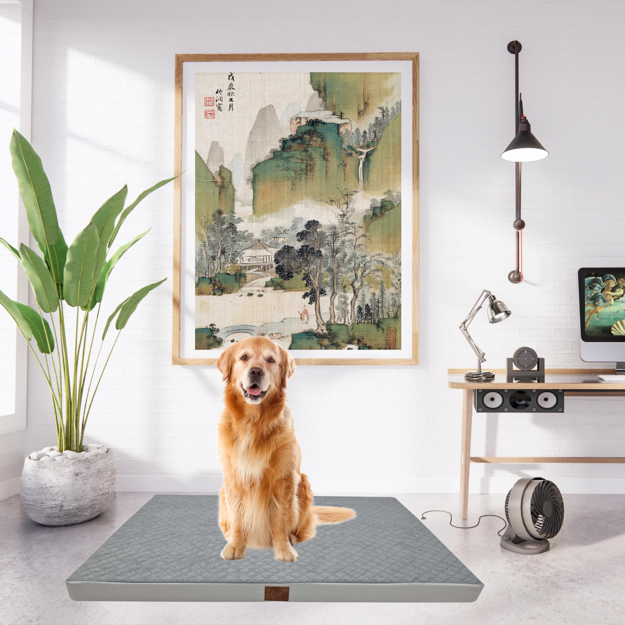 Odolplusz Cama ortopédica para perros grandes, cojín para perros medianos y grandes, colchón para perros con funda lavable, (gris, 120 x 80 x 7 cm)