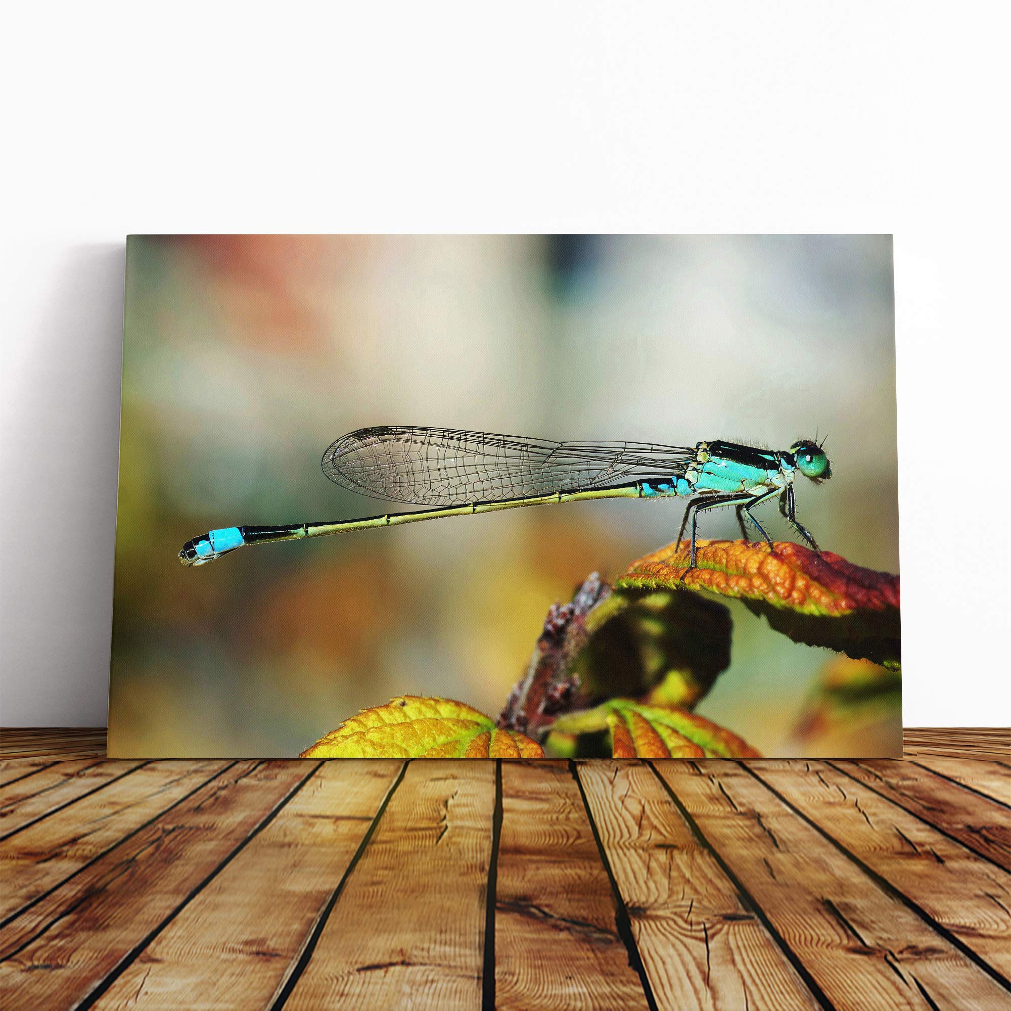Dragonfly Insect (6) Canvas Print | Gallery Wrapped 30mm Frame Wall Art | 24x16 inches | Ready to Hang | Modern Animals Picture | Living Room Bedroom Lounge Office