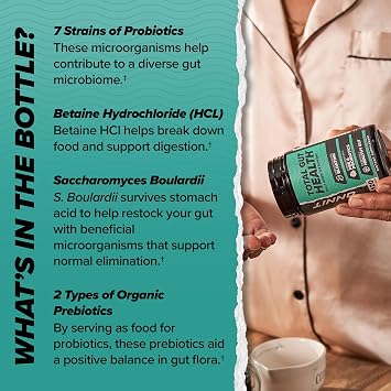 ONNIT Total Gut Health Digestive Support, Probiotics & Enzymes, 120 Count | IGEN Non-GMO Tested; probiotics, prebiotics, digestive enzymes & betaine HCl; daily gut, digestion & bloating support