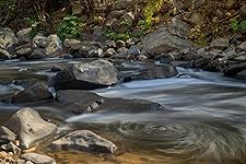 Review Image by Liqwid Liqwid