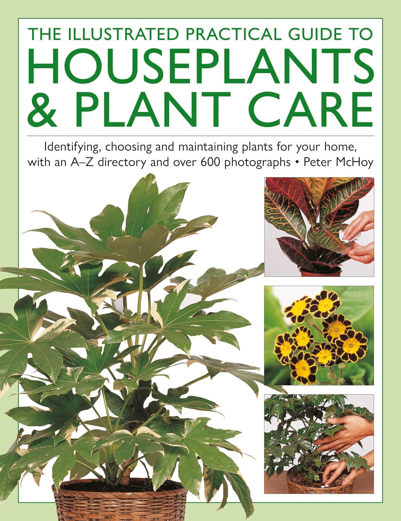 The Illustrated Practical Guide to Houseplants & Plant Care b... - 9780754836254