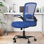 Chaise de bureau, chaise de bureau ergonomique avec support Lombaire réglable & Hauteur de la assise, chaise d'ordinateur Mesh à dossier élevé avec accoudoirs encastrés Chaises de travail (moderne, gris de fer avec cadre gris)