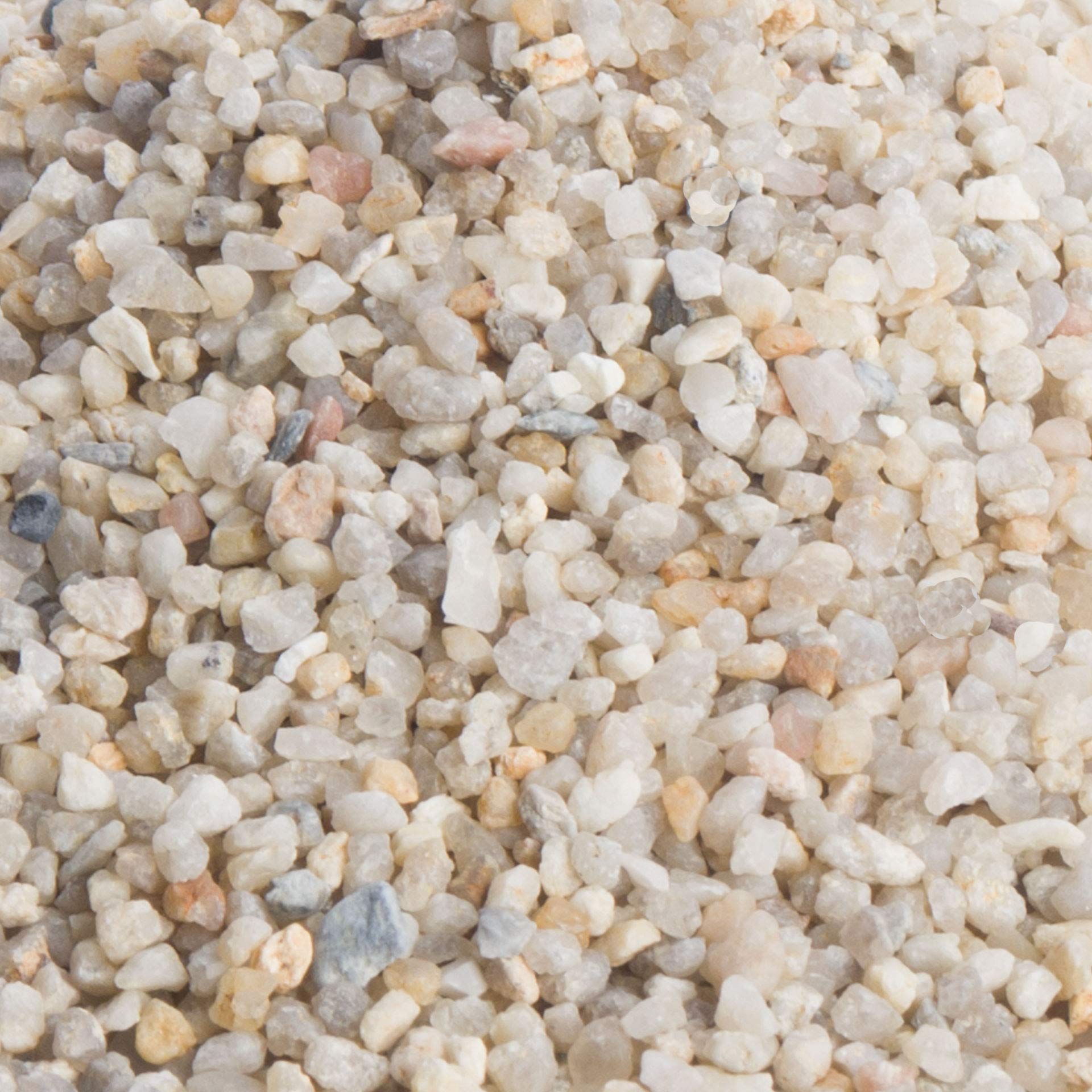 Schicker Mineral Aquariumkies beige 10 kg, grober Aquariumsand gewaschen, ungefärbt, kantengerundeter Bodengrund, Kies für Süßwasseraquarien, Meerwasseraquarien, Aquascaping (ØKörnung: 2,0-3,15 mm)