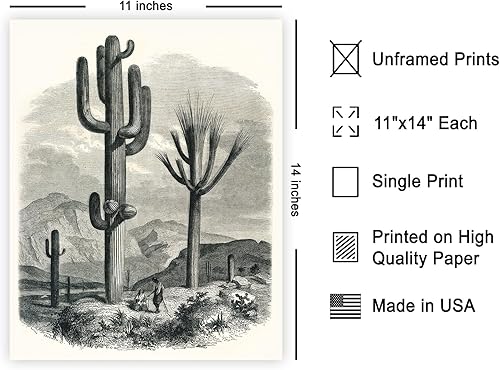Miniatura 2 de Poster Master Póster vintage de cactus gigante, impresión retro de árboles y flores de California, arte del desierto, arte en blanco y negro, regalo