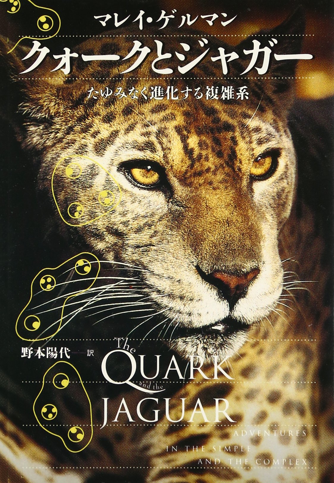 入手困難❗JAGUAR 完全版 洋書 ジャガー写真集 Amazon.co.jp: クォークとジャガー: たゆみなく進化する複雑系