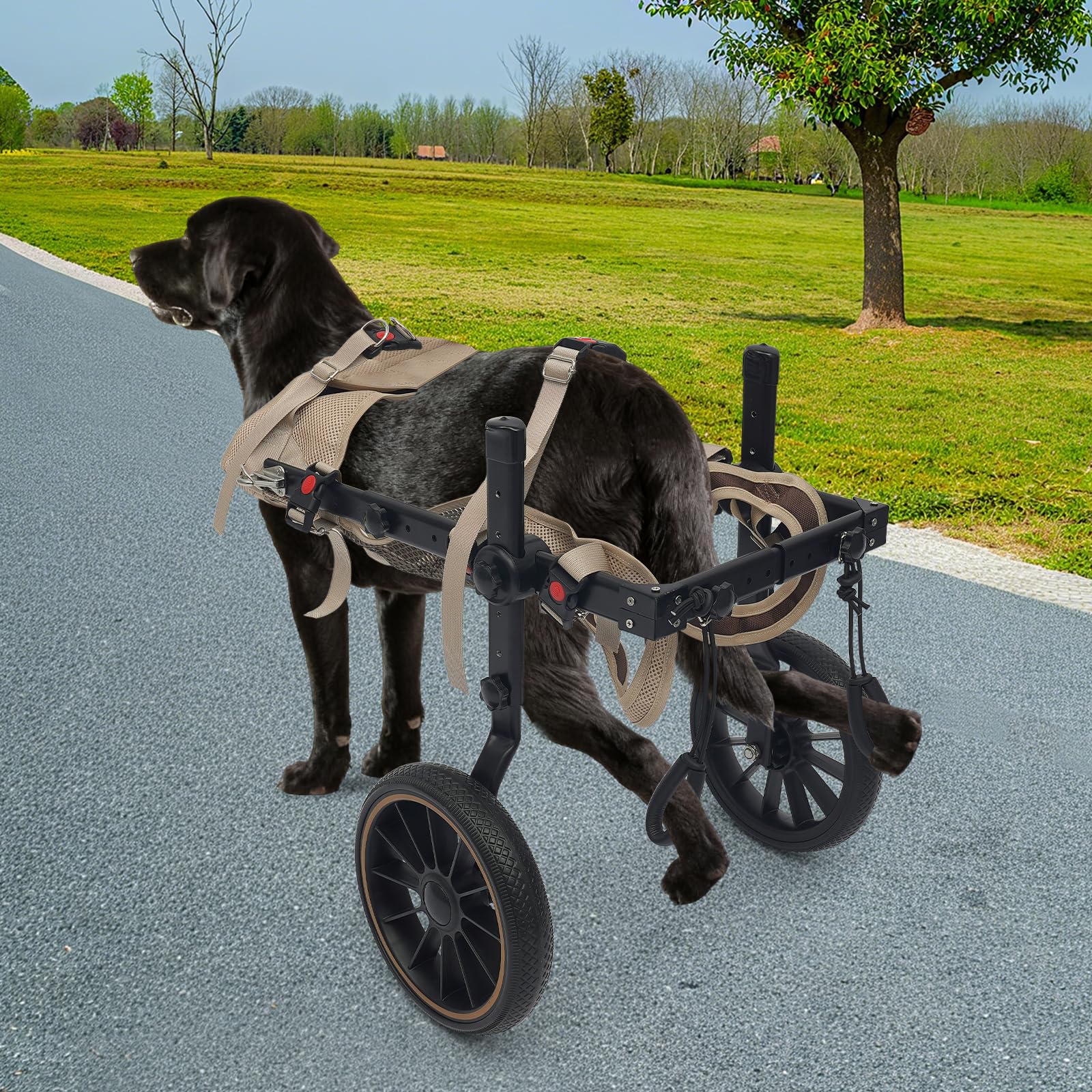 Carrello per cani XL - Zampe posteriori - Aiuto per la deambulazione - Aiuta nella riabilitazione degli animali domestici - Con anello a D - Altezza regolabile - Lunghezza del corpo e larghezza