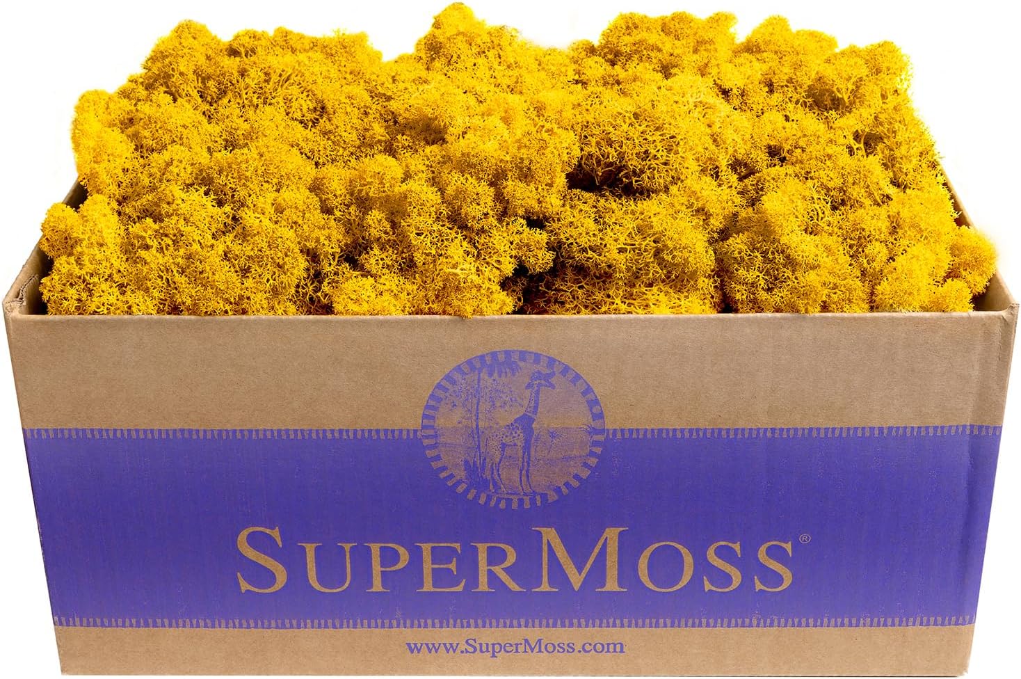 SuperMoss (21495) Reindeer Moss – Soft Preserved Moss for Home Decor, Crafts, Terrariums, Floral Design, and Wedding Decorations, 1,564 cu in, Sunflower