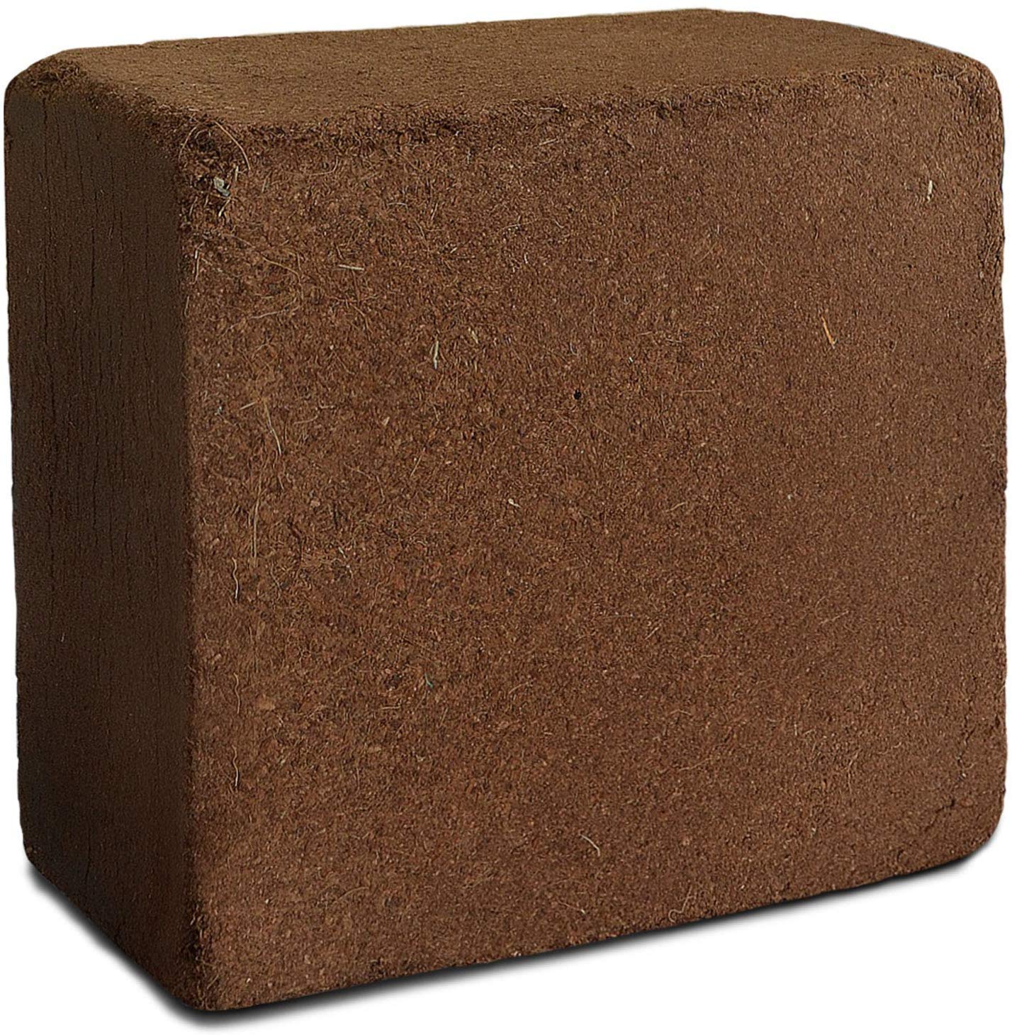 Coir COCOPEAT Block 5 kg (Expands up to 75 Liter of cocopeat Powder) (B09Q18BRTK) Amazon Price History, Amazon Price Tracker