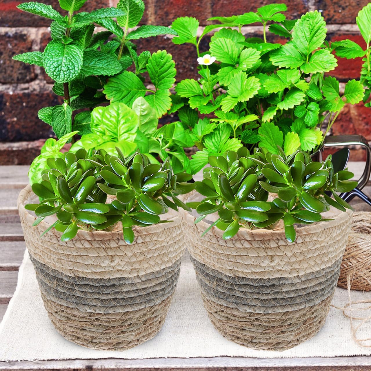Healeved 2 x Blumenkorb, 25,4 cm, Rattan-Aufbewahrungskorb, große Blumenarrangement-Behälter, Stroh, Blumentopf, Sukkulenten, Pflanzkörbe für den Schreibtisch, rund, Braut-Topf, Abdeckung, Gras