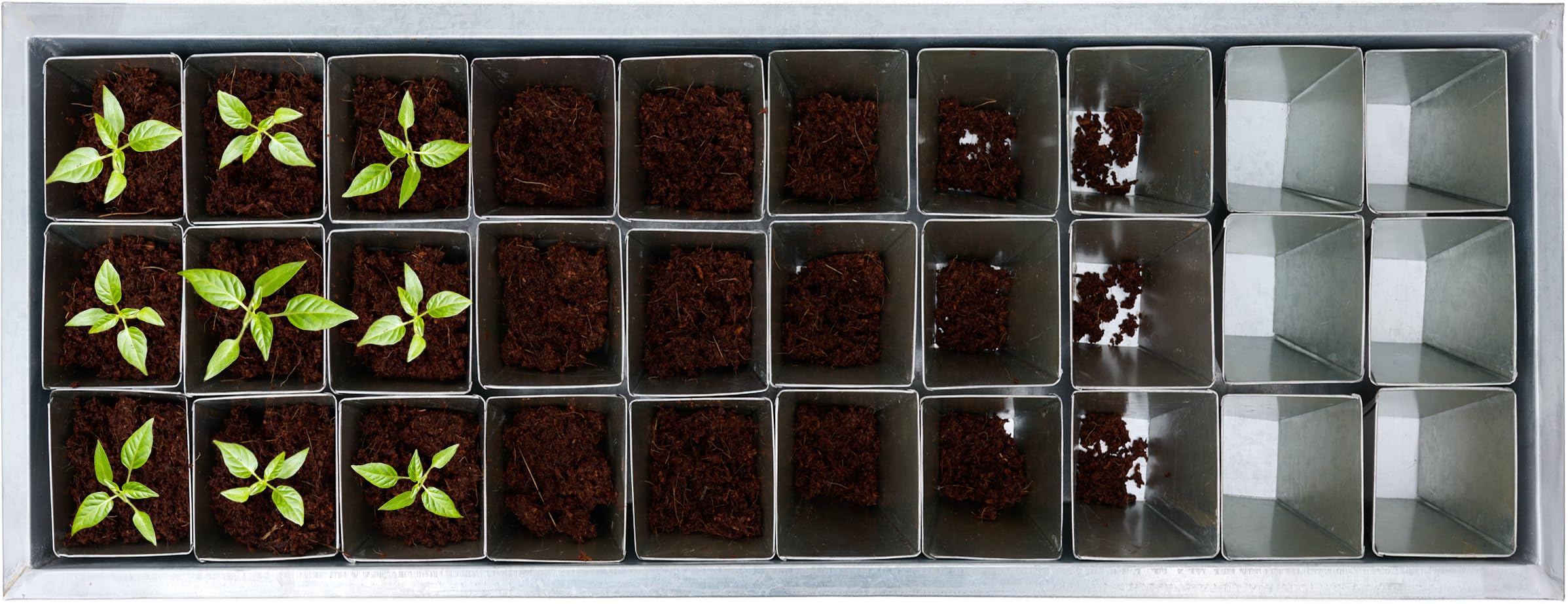 Romberg PU:RE Crafted Anzucht-Set 58x19x 6,7cm inkl. 30 Zink-Pots, zinkgrau