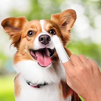 Groomer Essentials Finger Toothbrushes - 50 Count