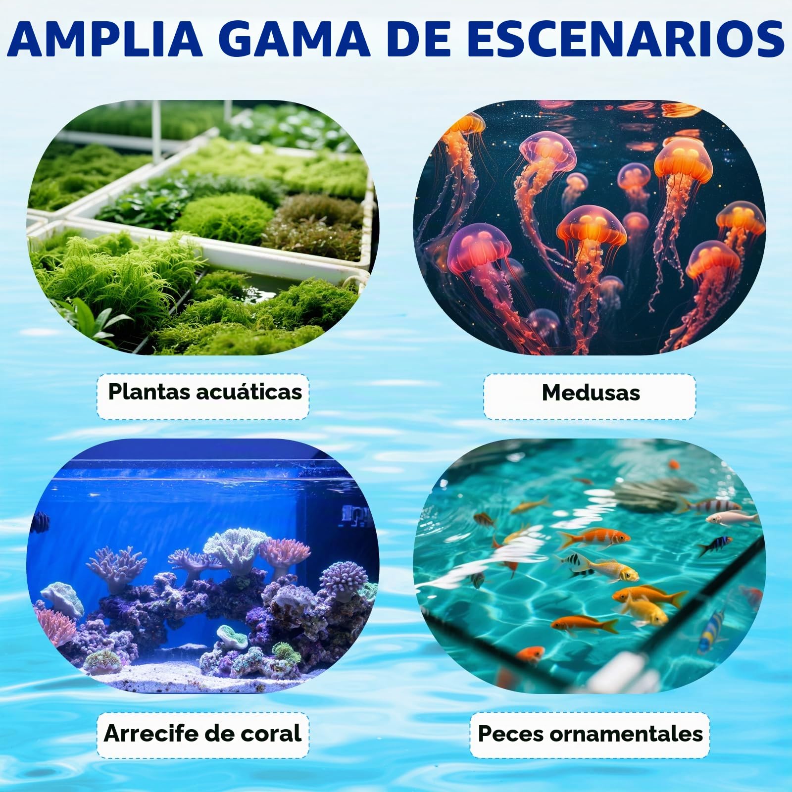 BAOSHISHAN 30L Mini enfriador de acuario 120W Pequeño enfriador de acuario para pecera