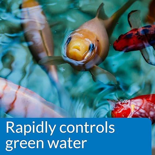 Vista 13 de API POND SIMPLY CLEAR - Clarificador de agua para estanque, botella de 16 onzas (248B)