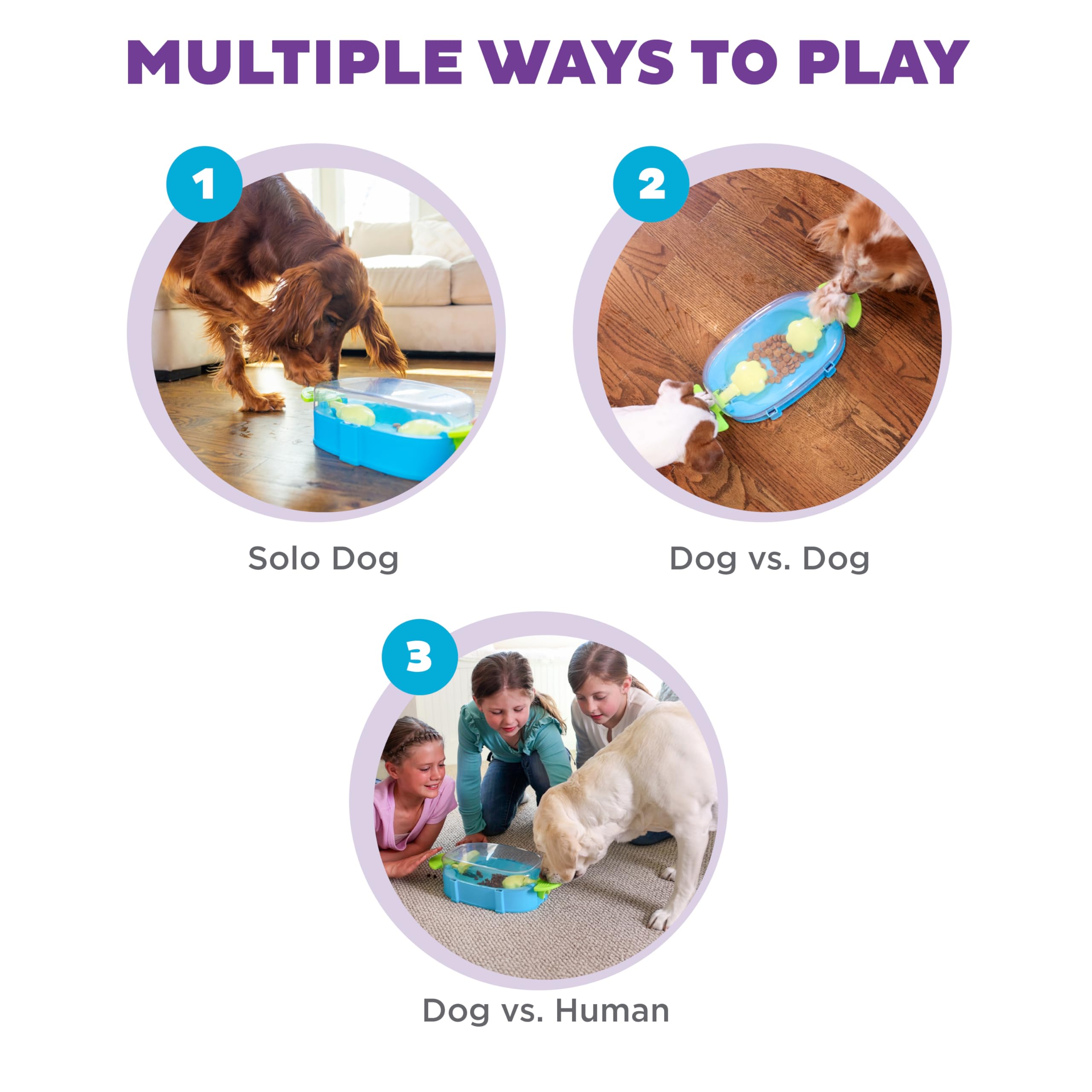 Outward Hound Nina Ottosson Paw N' Play interaktywna łamigłówka dla psa, poziom 2 średniozaawansowany pies wzbogacający zabawka dla psa, niebieska, mała
