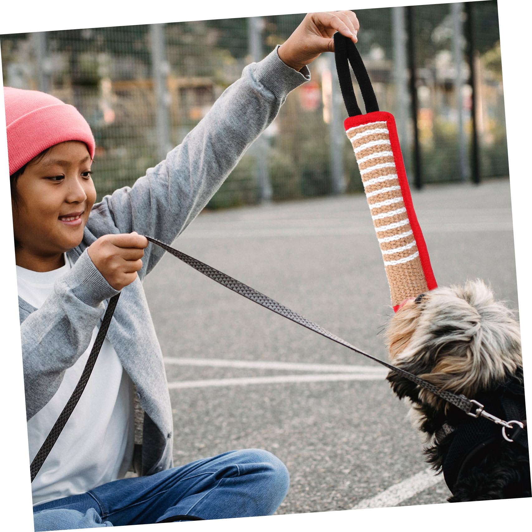 HANABASS 5stücke Hundespielzeug Jute Beißkissen Für Große Hunde Interaktives Zerrspielzeug Für Training Und Beschäftigung Langlebig Und Für Stundenlangen Spielspaß