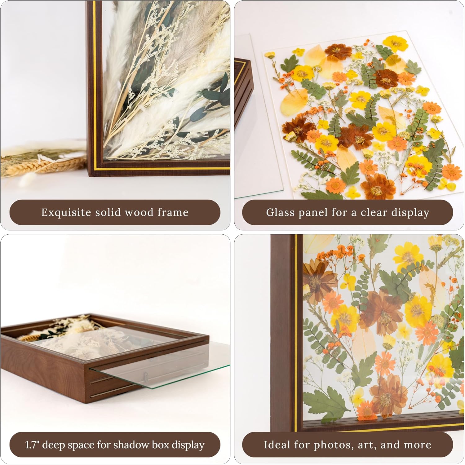 Pressed Flower Frame – Durable Dual Panel Design Glass Frame for Pressed Flowers – 11x14 Extra Large Easy-to-Use Gift Dried Flower Arrangements – Portrait or Landscape Floating Frames for Versatile Decor
