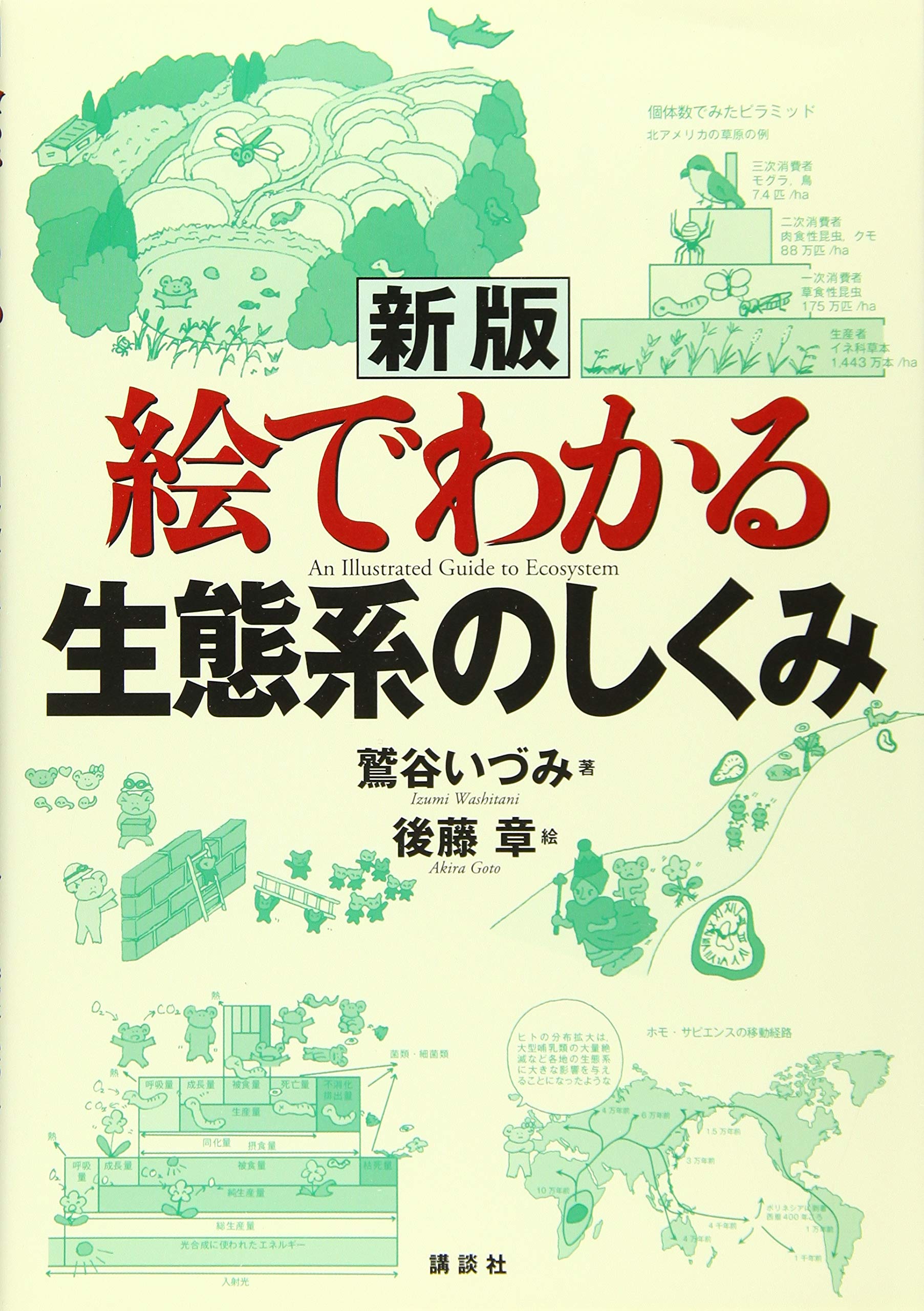 新版 絵でわかる生態系のしくみ (絵でわかるシリーズ) | 鷲谷 いづみ