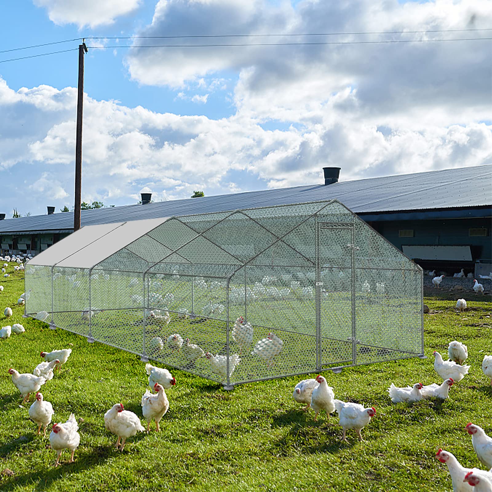FIVMEN Recinto para gallineros, 3 x 8 x 2 m, metal, 24 m², jaulas de aves de corral con protección solar, techo, valla de pollo, puerta y cerrojo, establos estables para animales pequeños y plantas