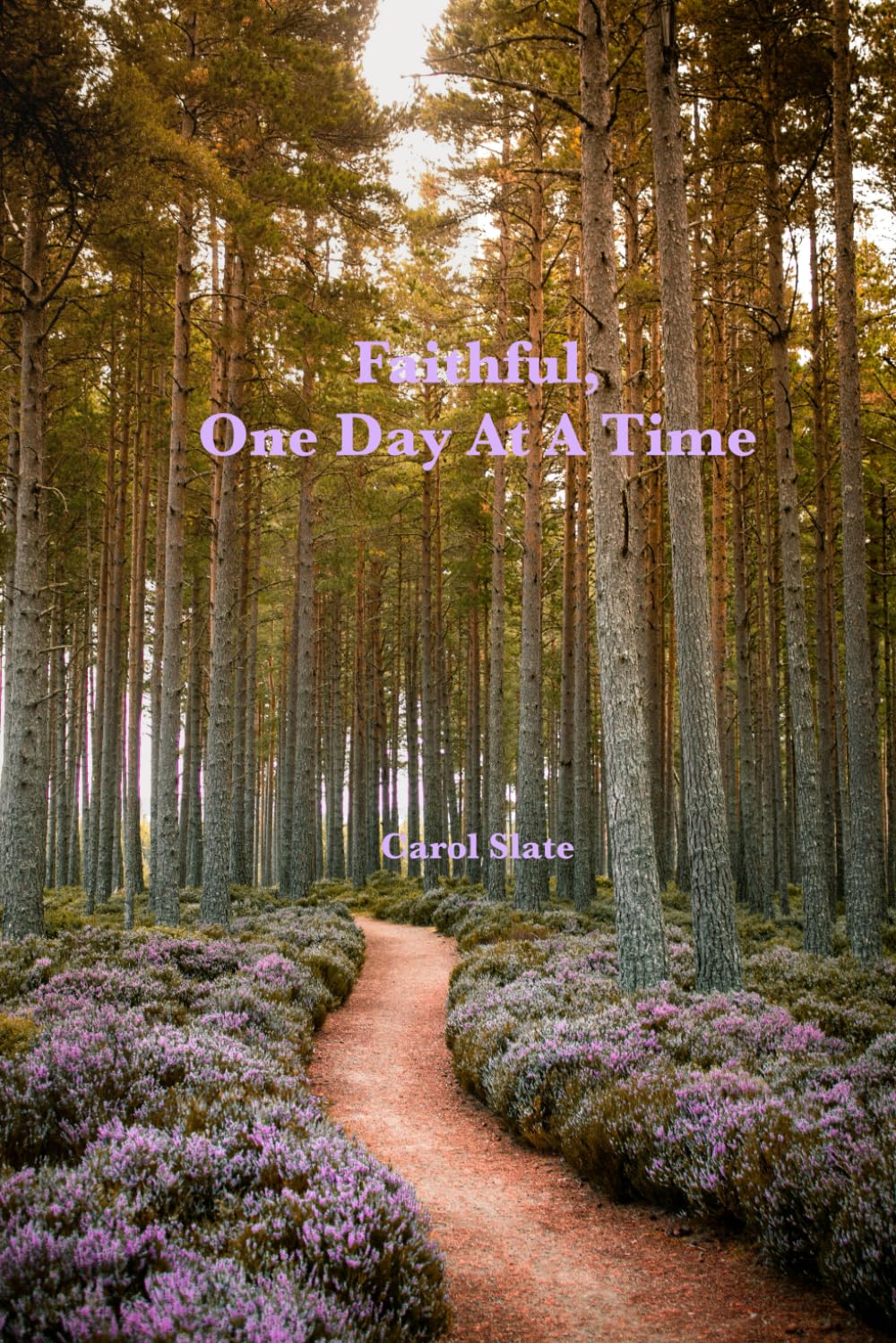 Faithful, One Day At A Time: Daily Devotions for Ordinary Days, Enduring Faith, and Quiet Trust