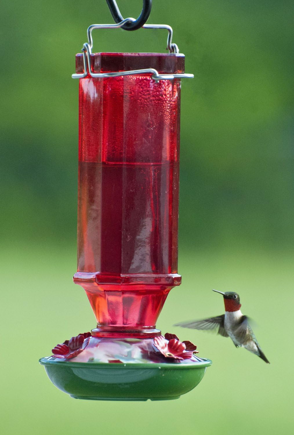 Audubon Vintage Spirits Hummingbird Feeder, 16 oz. Model NA35241,White