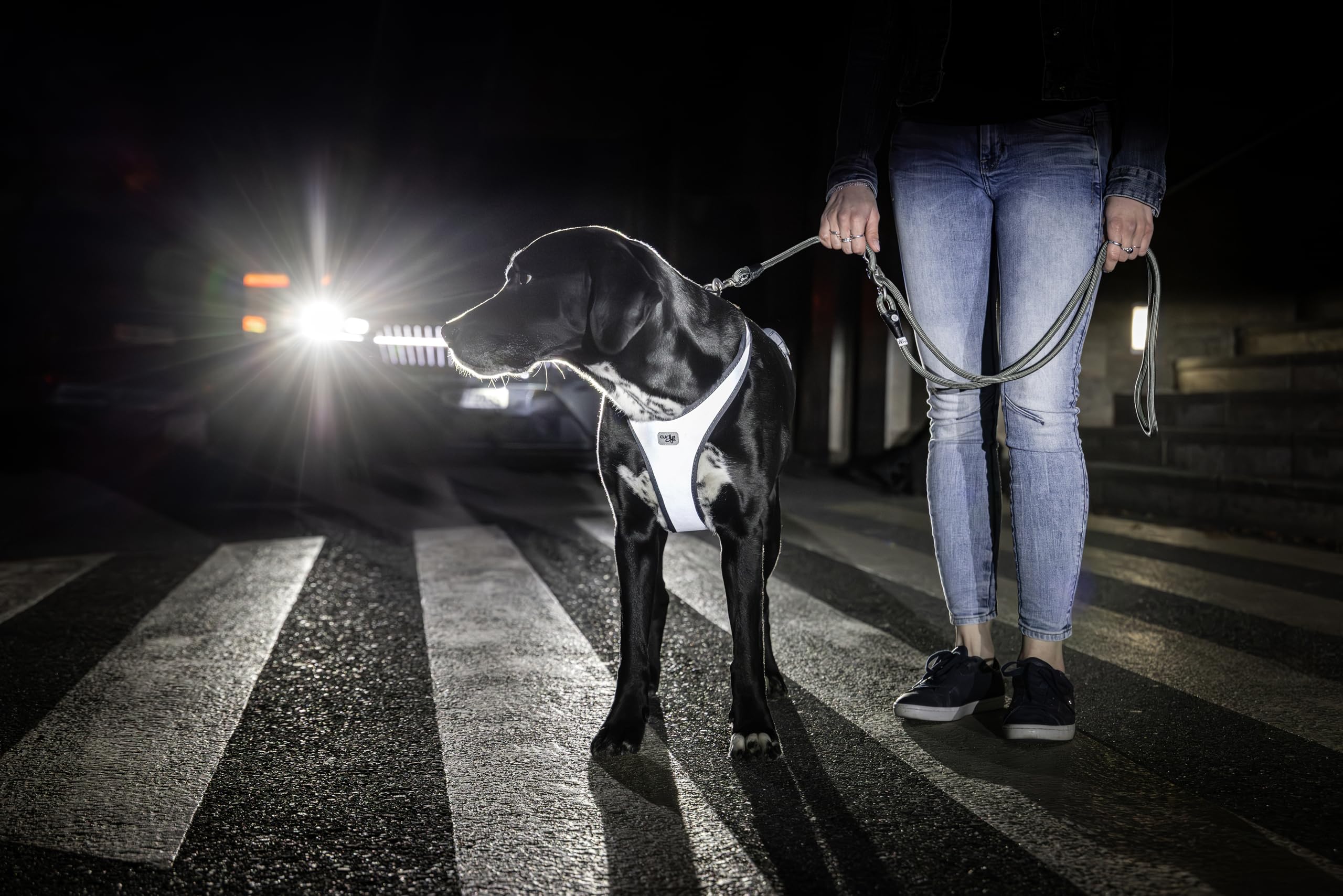 Glow Belka Harness Gray XL