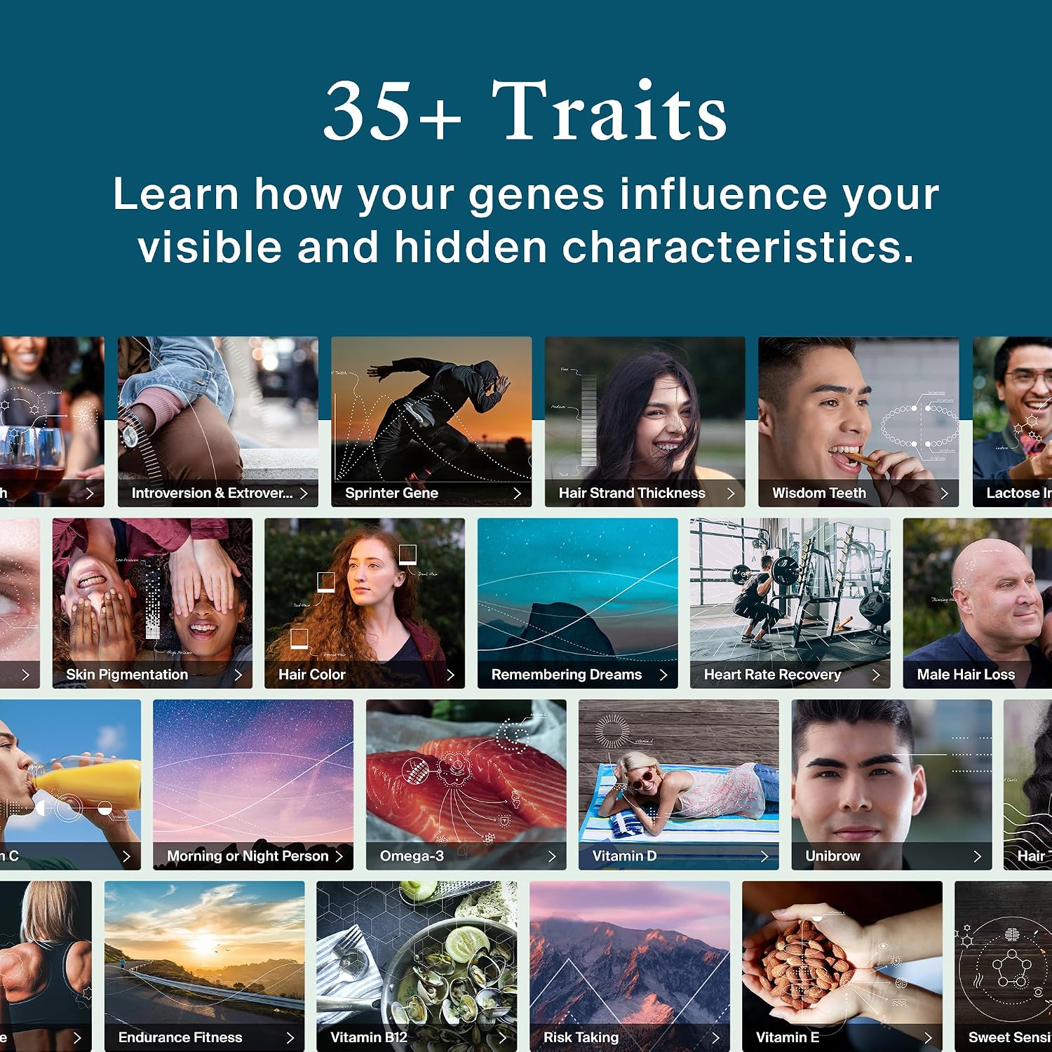 AncestryDNA + Traits Genetic Test Kit: Personalized Genetic Traits, DNA Ethnicity Test, Origins & Ethnicities, Complete DNA Test, Ancestry Reports
