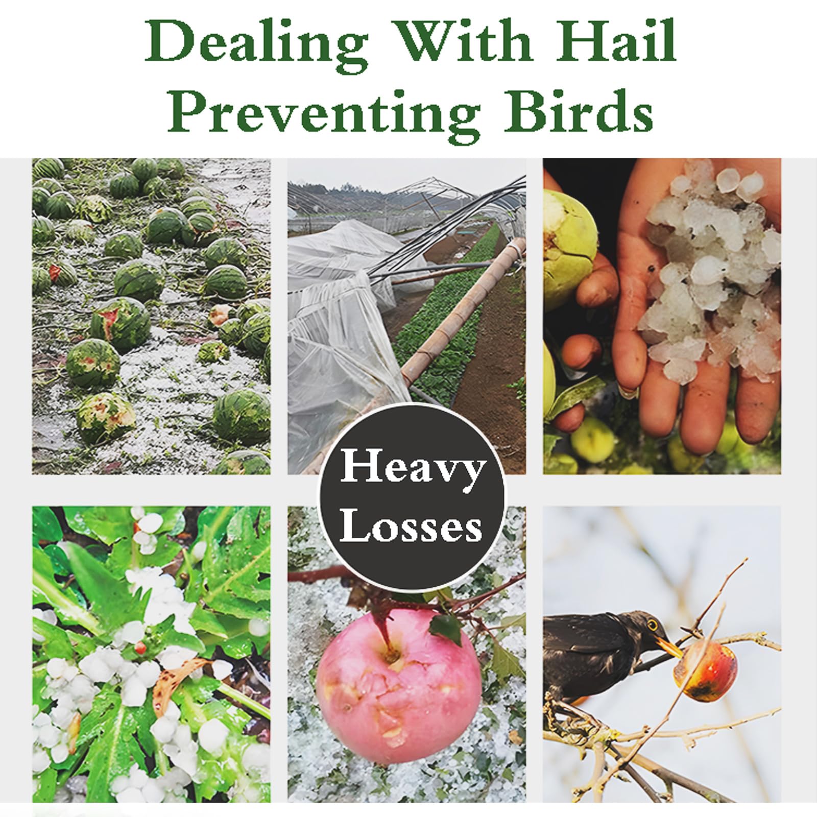 Malla Antigranizo,Malla Anti-PáJaros,Red ProteccióN Insectos Huerto Adecuado,Red De ProteccióN De Plantas,FáCil De Instalar,Proteccion Plantas,para ProteccióN De Frutas Y Verduras