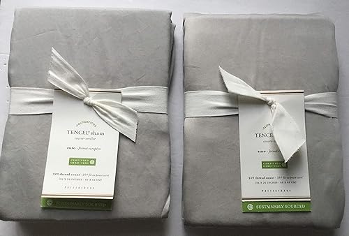 Pottery Barn Tencel ~Euro Shams~*~Juego de dos~*~ Niebla gris~