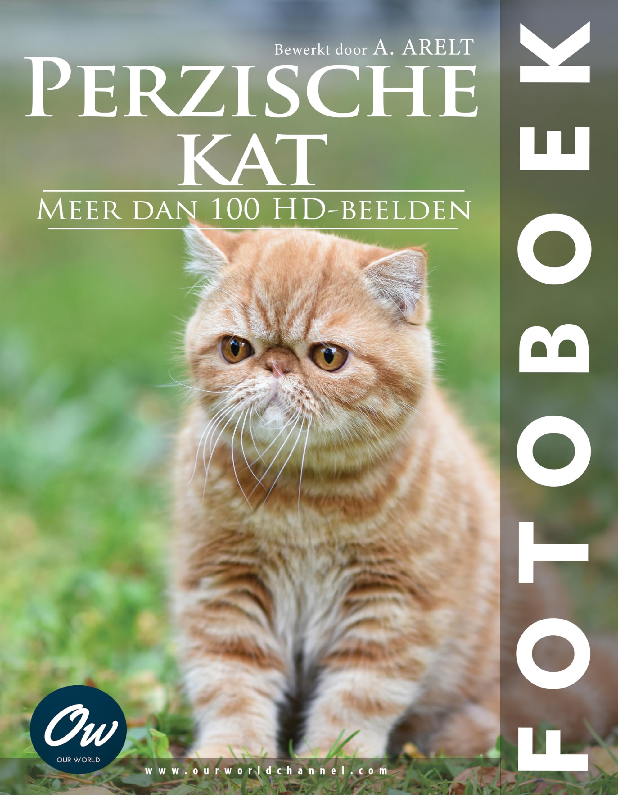 Livre photo chat persan pour apaiser le stress quotidien par l'image animale