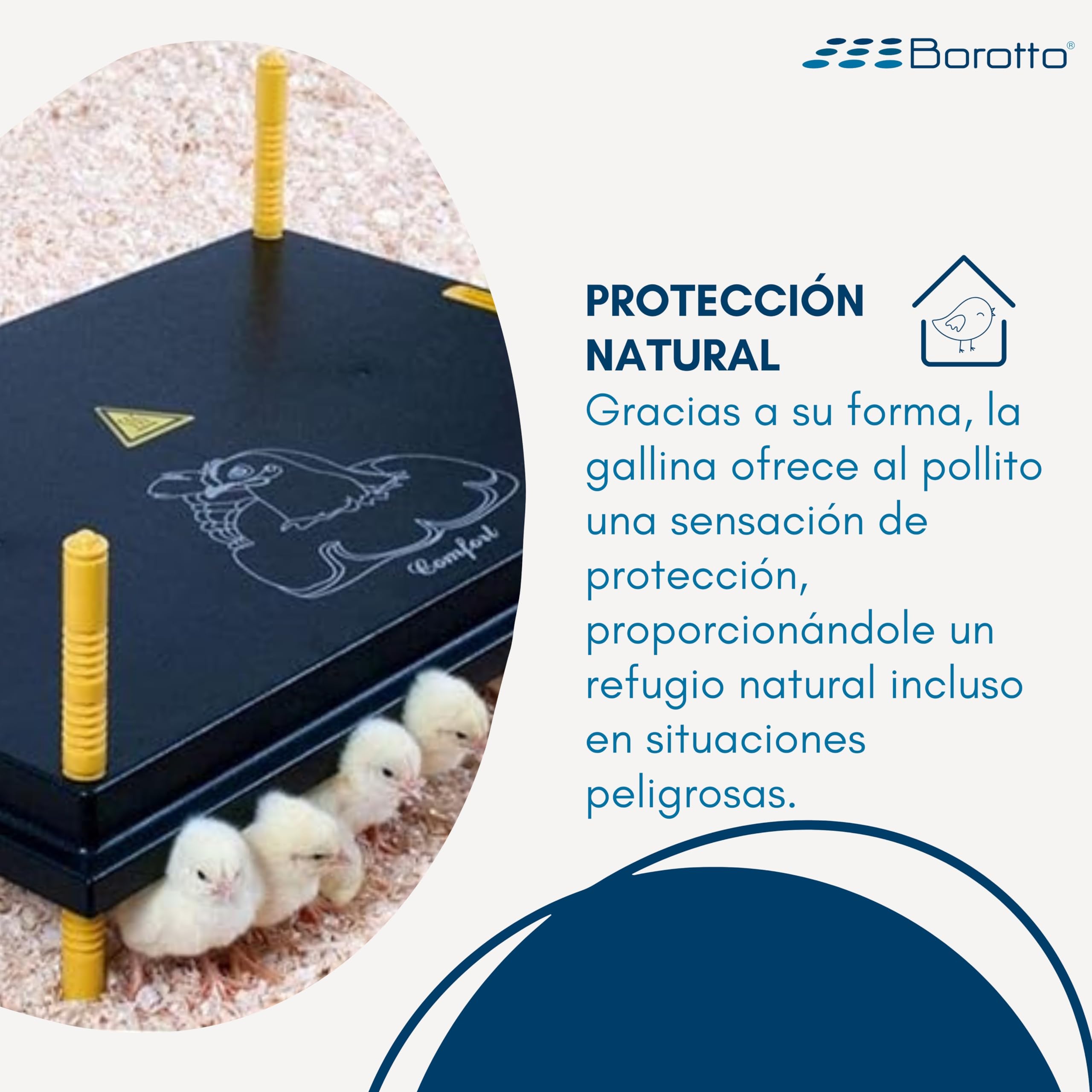 Borotto Criadora de Pollitos - Placa de Calor - Altura Ajustable - Bajo Consumo (40/45 pulg.)