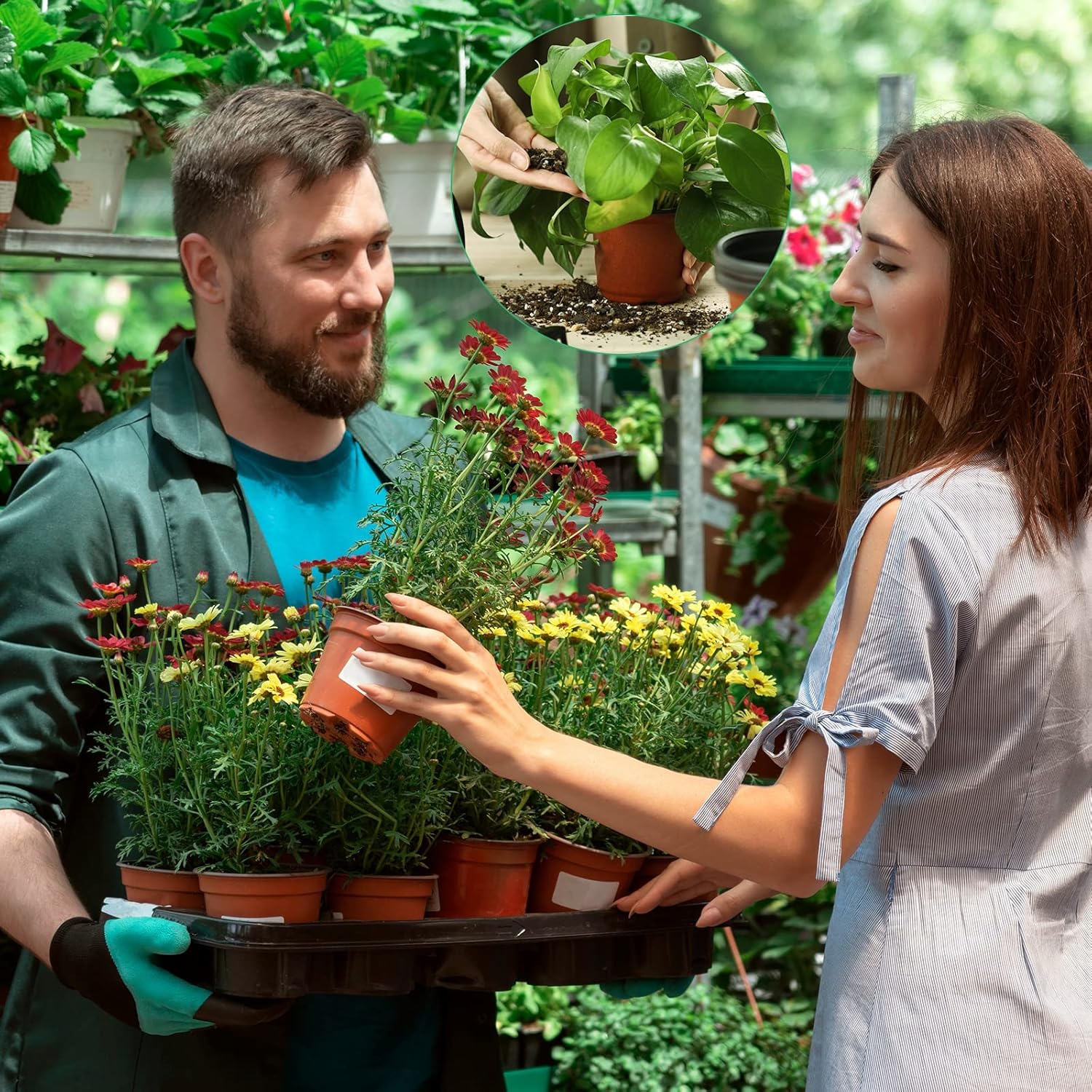 6 Inches Plastic Plants Nursery Seed Starting Pots Planter Planting Seedling Pots Seedling Flower Plant Container for Garden Cutting Transplanting (200 Pcs)