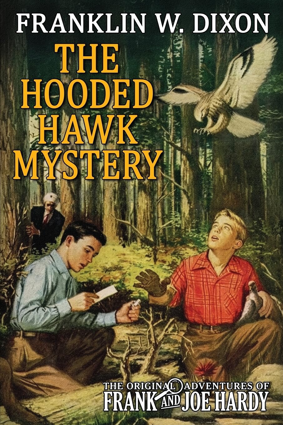 The Hooded Hawk Mystery: 34 (The Original Adventures of Frank & Joe Hardy)