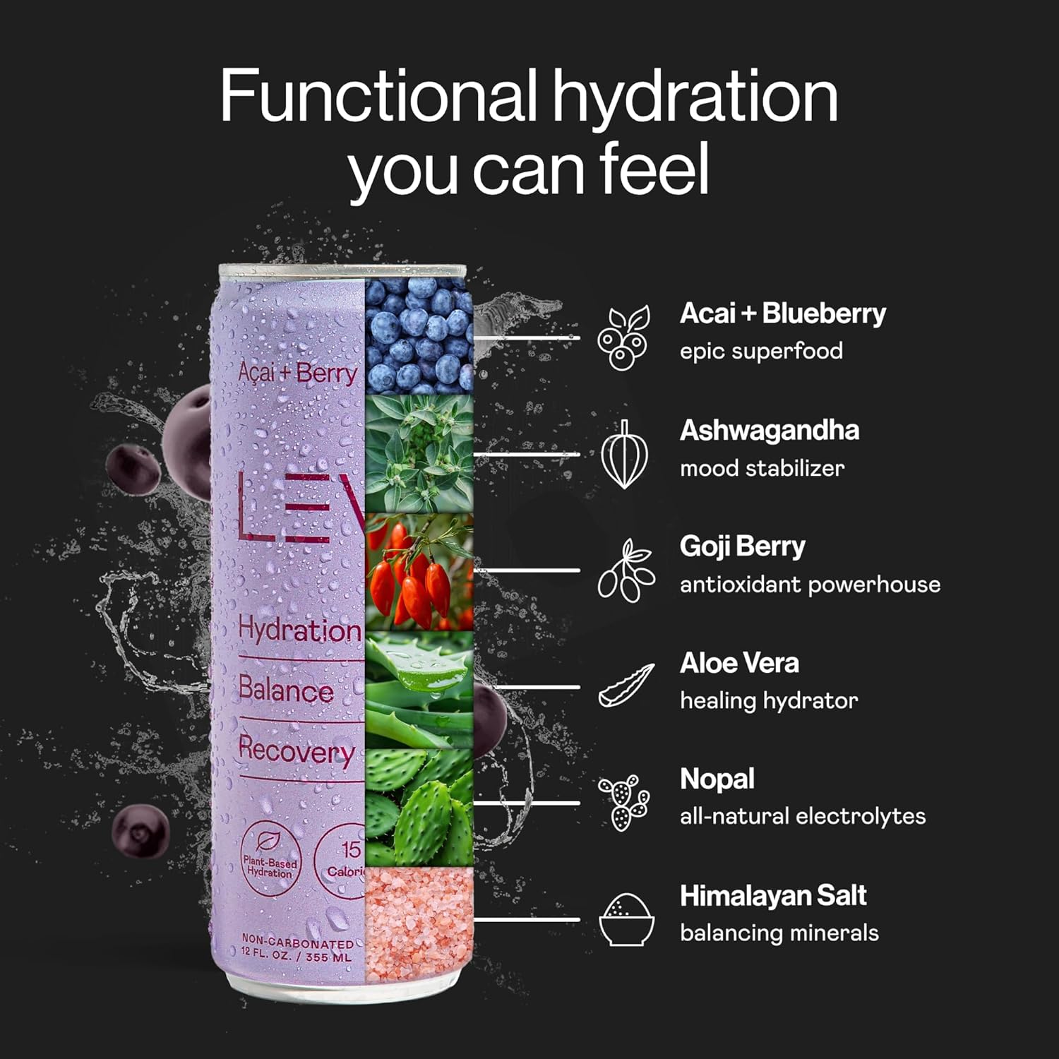 LEVL Functional Hydration Drink - Acaí + Berry (Non-Carbonated) Pure Water, Real Fruit, Adaptogens, Electrolytes | All-Natural, No Artificial Additives, Zero Added Sugar, Non-GMO, Caffeine Free, Sports Drink | 12 FL OZ Cans - (Pack of 12)