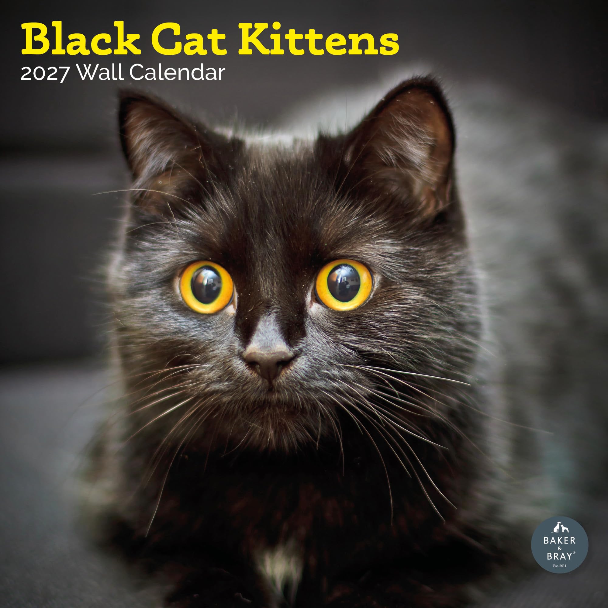 Baker and Bray Black Cat Kittens Calendar 2027, Large