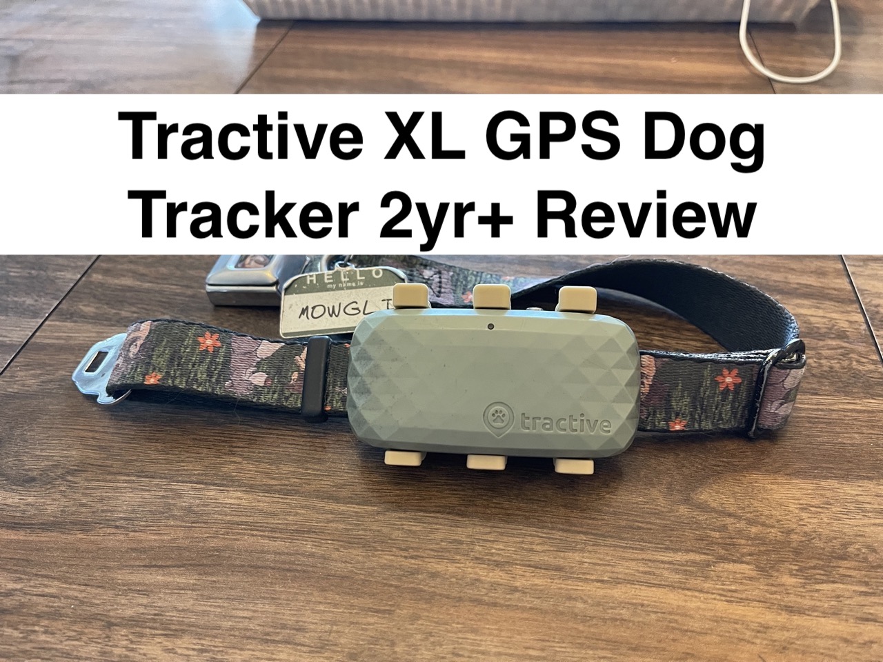 Watch Hiking with Tractive XL GPS Dog Tracker 2yr Review on Amazon Live