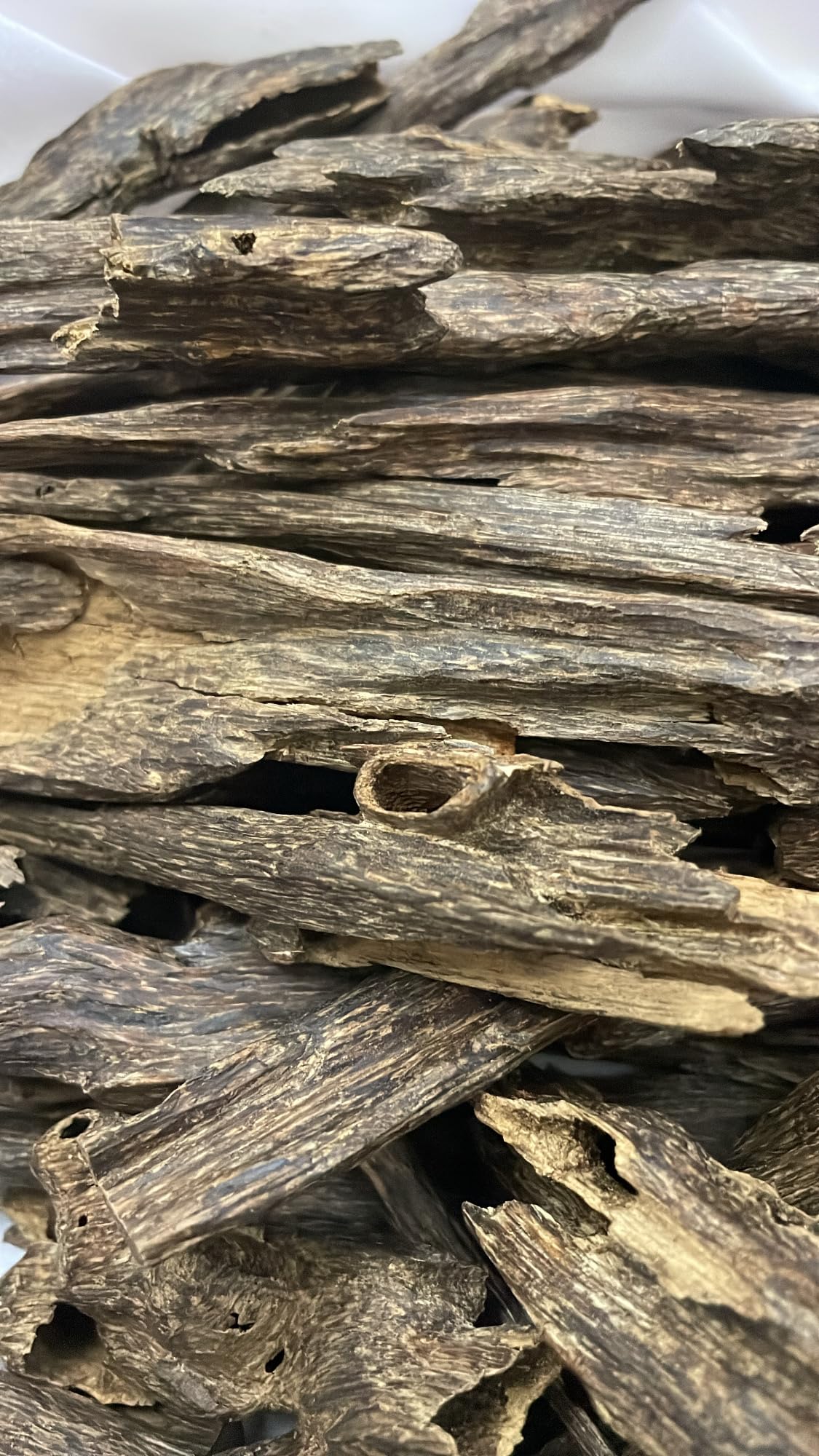 Indian oud (Woody)