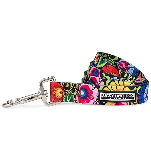 Lucky Love Dog Correa, hermosos patrones vivos, duradera y duradera (mirlo, grande)
