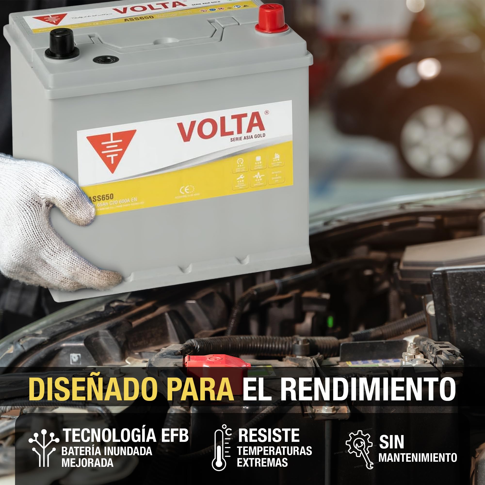 Batería de Coche Start-Stop EFB 65Ah 600 AEN - Volta Gold Asia ASS650D - Sistema Start-Stop - Borne +Derecha - Medidas Largo 230 x Ancho 173 x Alto 225 mm con 2 Años Garantía - Fabricación Europea