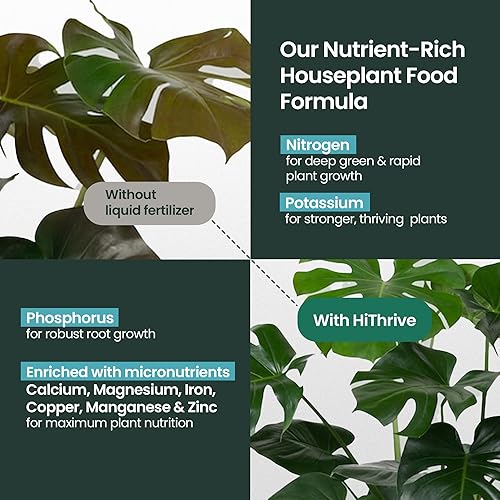 Miniatura 4 de Fertilizante para plantas de interior de 16 onzas, alimento multiusos para plantas de interior, hace más de 87 galones, fertilizante para plantas de