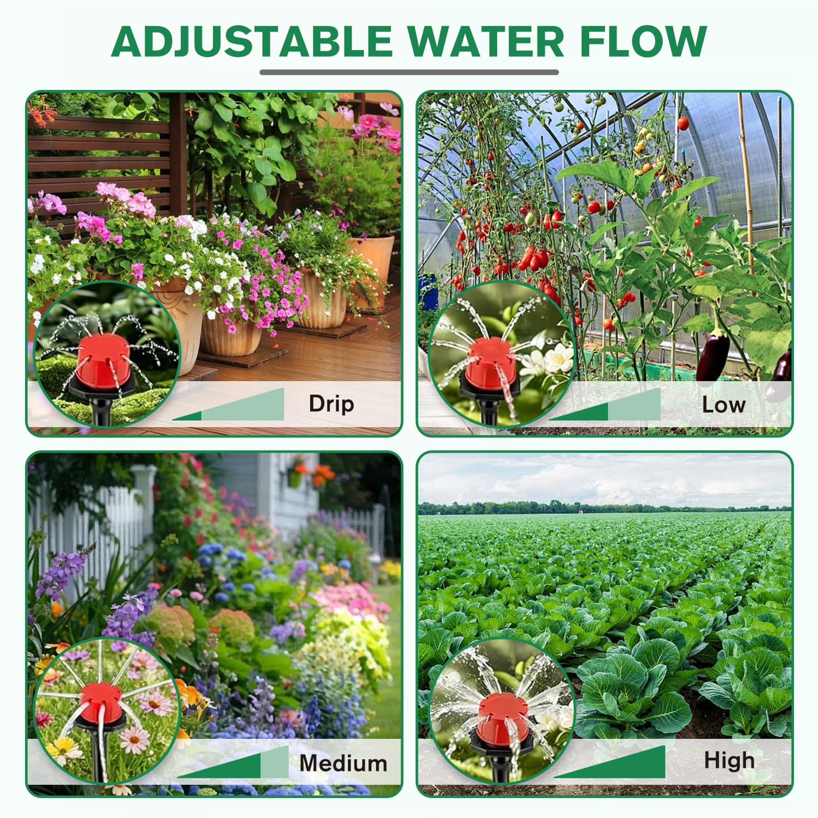 View 7