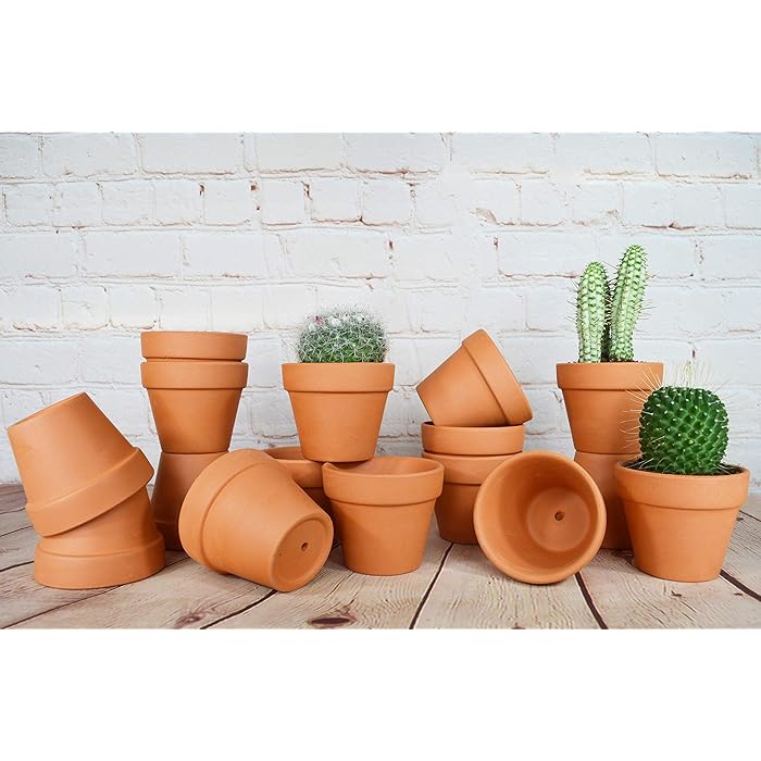 Buy My Urban Crafts 16 Pcs Small Terracotta Pots 2.5 x 3 inch Mini