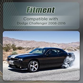 帽子 CHALLENGER Amazon.com: FZJDSD 2PCS Front Right & Left Side Door Window