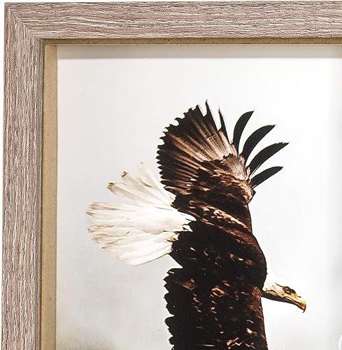 Miniatura 3 de Dicksons Placa decorativa de madera con texto en inglés "Wait Upon The Lord Renew Strength" Black Eagle (12 x 15 pulgadas)