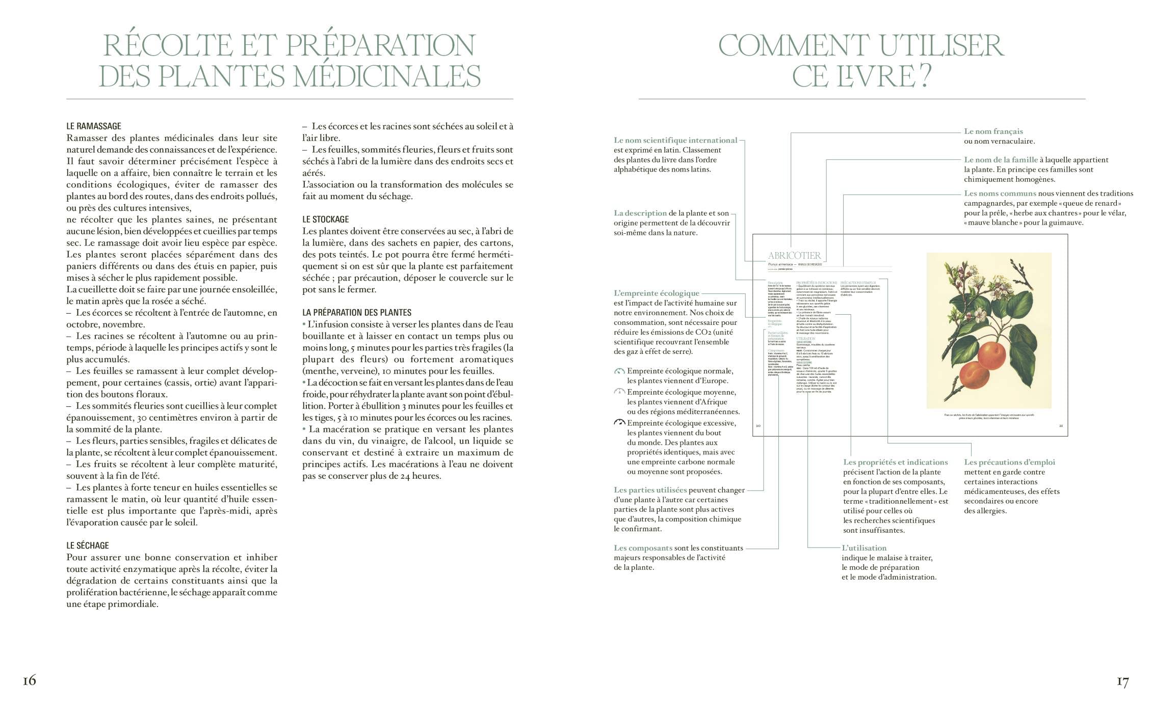 La grande encyclopédie de l'herboristerie