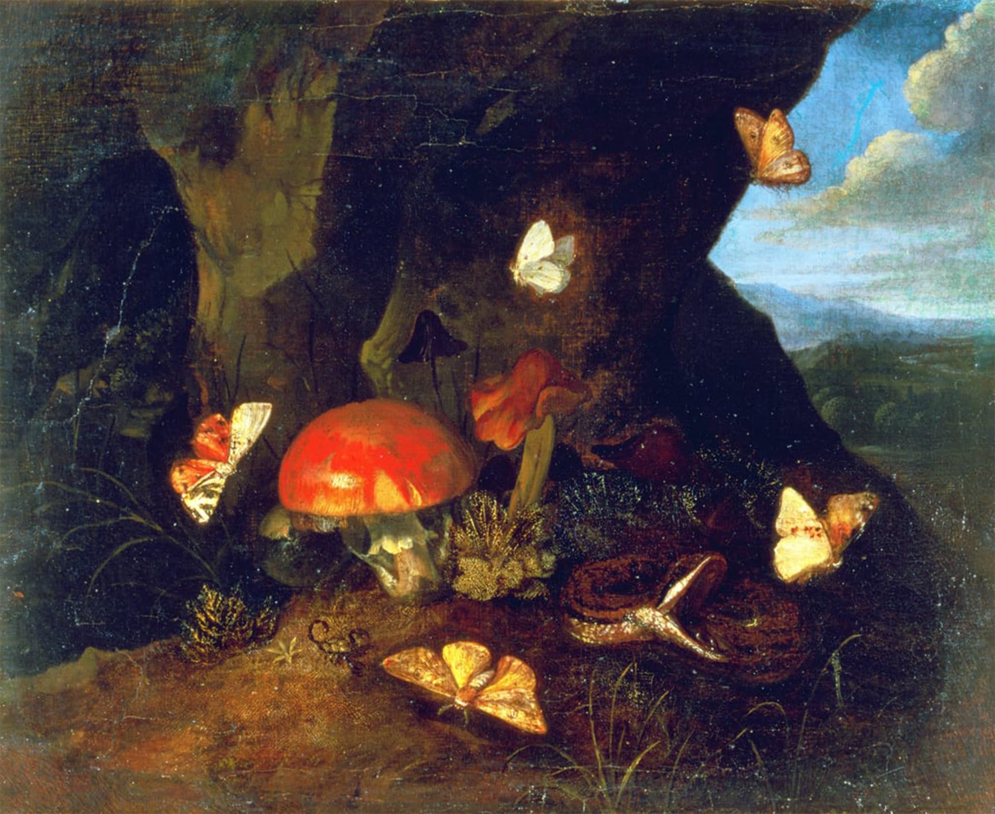 POSTERIIk Famous Print Pop Art Wall Art Graffiti Undergrowth and Wildlife by Otto Marseus Van Schrieck Art Prints for Home Decor 60x90cm