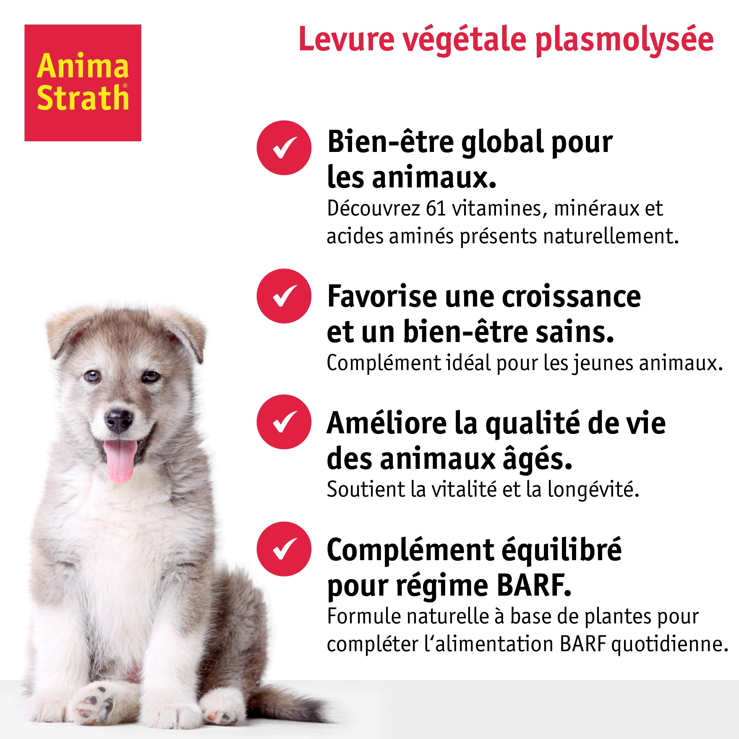 Anima-Strath Fortifiant et Complément Alimentaire Naturel Liquide pour Chiens et Chats - Soutien de l'immunité et de la Digestion avec 61 Micronutriments, Vitamines, Minéraux, Acides Aminés