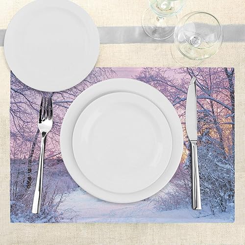 Miniatura 3 de Ambesonne Juego de 4 manteles individuales de paisaje, con temas de temporada de invierno, ramas abandonadas, imagen de paisaje nevado, manteles