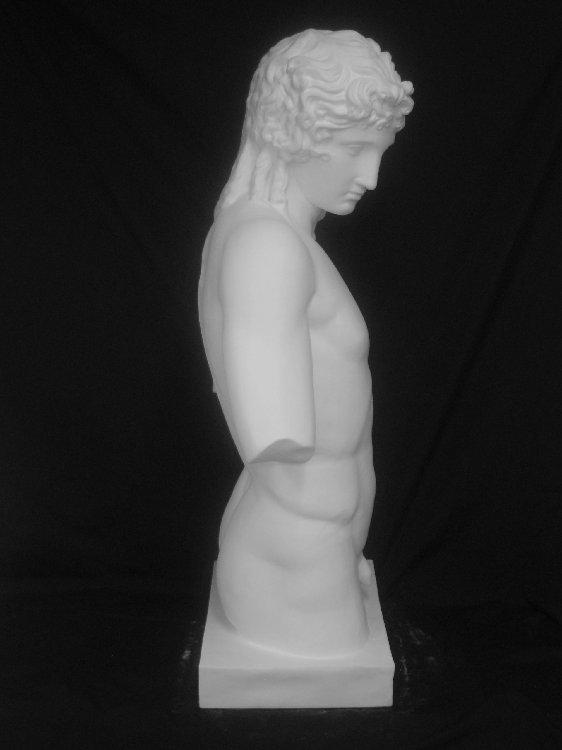 Amazon.co.jp: 石膏像 H－010 アムール半身像 H．95cm